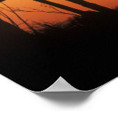 N.A., USA, AZ, Saguaro NP, Saguaro Sunset ポスター (角)