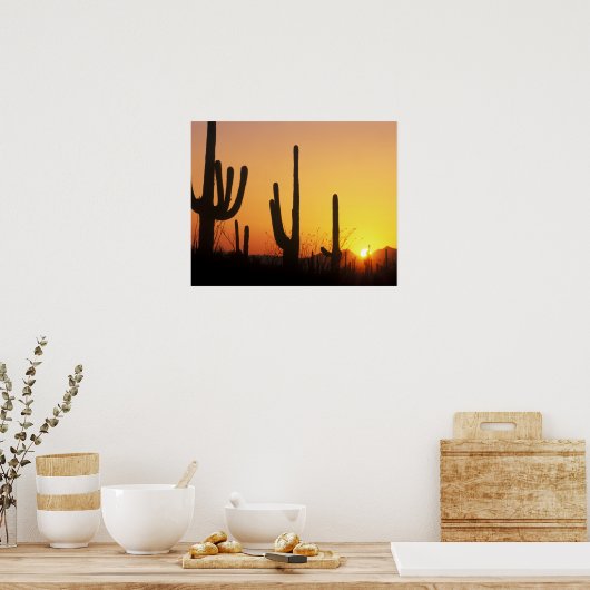 N.A., USA, AZ, Saguaro NP, Saguaro Sunset ポスター (キッチン)