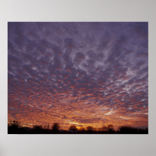N.A., USA, New Mexico, near Las Cruces, ポスター