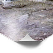 N.C.ワイエス・ロング・ジョン・シルバーとオウム・ポスター フォトプリント            (角)