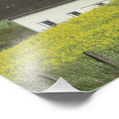 NA,アメリカ,アイダホ,ゲネセの南,カノーラフィールド フォトプリント (角)