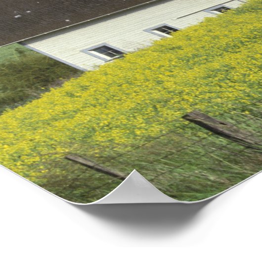 NA,アメリカ,アイダホ,ゲネセの南,カノーラフィールド ポスター (角)