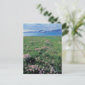 NA，アメリカ，アラスカ，アリューシャン島，風光明媚 ポストカード (スタンド正面)