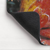 NA，アメリカ，アラスカ，デナリNPフロステッド，秋色 マウスパッド (コーナー)