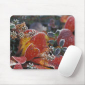 NA，アメリカ，アラスカ，デナリNPフロステッド，秋色 マウスパッド (マウス)