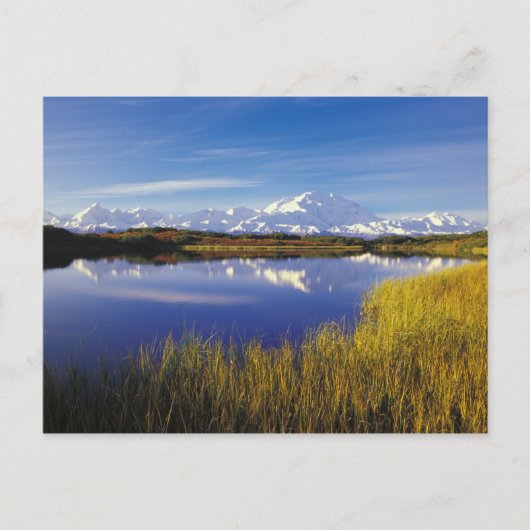 NA,アメリカ,アラスカ,デナリNPマッキンリー山 ポストカード (正面)