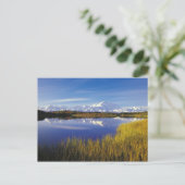 NA,アメリカ,アラスカ,デナリNPマッキンリー山 ポストカード (スタンド正面)