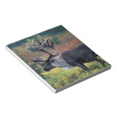 NA,アメリカ,アラスカ,デナリNP,ブルカリブー3 ノートパッド (アングル)