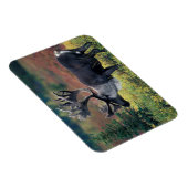 NA,アメリカ,アラスカ,デナリNP,ブルカリブー3 マグネット (右側)