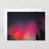 NA,アメリカ,アラスカ,フェアバンクス,ピンクと ポストカード (正面/裏面)