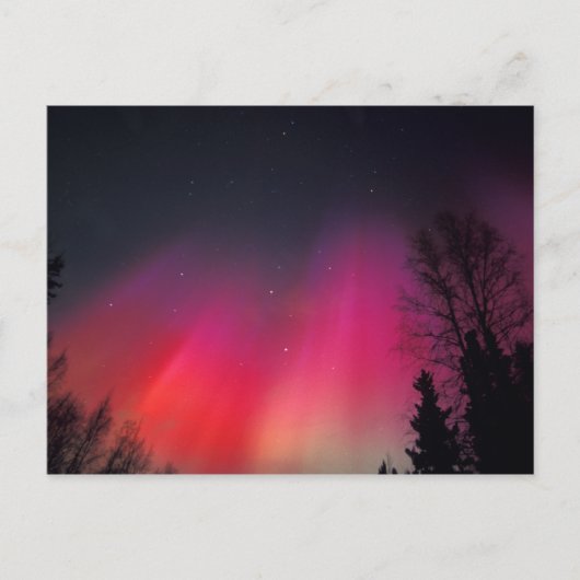 NA,アメリカ,アラスカ,フェアバンクス,ピンクと ポストカード (正面)