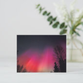 NA,アメリカ,アラスカ,フェアバンクス,ピンクと ポストカード (スタンド正面)