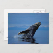 NA,アメリカ,アラスカ,南東アラスカ,内側 ポストカード (正面/裏面)