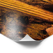 NA，アメリカ，アリゾナ州，佐賀県天然記念物， フォトプリント            (角)