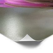 NA、アメリカ、アリゾナ、ソノラン砂漠。ハリネズミ フォトプリント            (角)