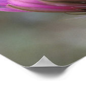 NA、アメリカ、アリゾナ、ソノラン砂漠。ハリネズミ ポスター (角)