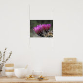 NA、アメリカ、アリゾナ、ソノラン砂漠。ハリネズミ ポスター (キッチン)