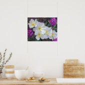 NA,アメリカ,カリフォルニア,アンザボレゴデザート州 ポスター (キッチン)