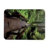 NA，アメリカ，カリフォルニア，ジェディディア・スミス・レッドウッズ マグネット (横)