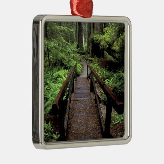 NA,アメリカ,カリフォルニア,ジェディディア・スミス・レッドウッズ メタルオーナメント (右)