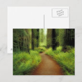 NA，アメリカ，カリフォルニア，ジェデディア・スミス・レッドウッズ ポストカード (正面/裏面)