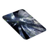 NA，アメリカ，カリフォルニア，デルノルテレッドウッズ州 マグネット (右側)