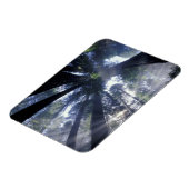 NA，アメリカ，カリフォルニア，デルノルテレッドウッズ州 マグネット (左側)