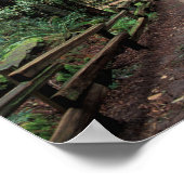 NA，アメリカ，カリフォルニア，マリン郡，ミューア・ウッズ ポスター (角)