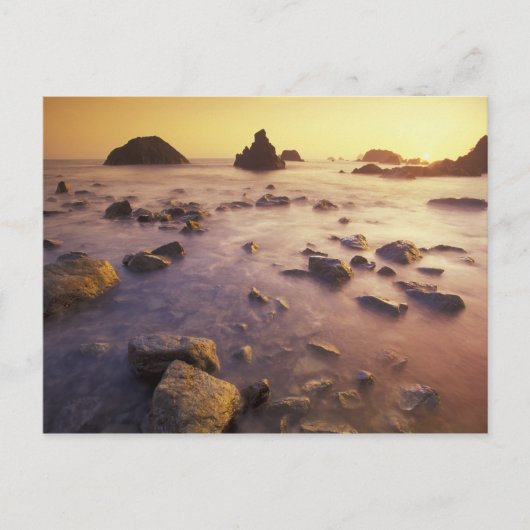 NA，アメリカ，カリフォルニア，北カリフォルニア， ポストカード (正面)