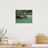 NA,アメリカ,テキサス州,デヴィンの東,古いワゴン ポスター (キッチン)