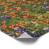 NA，アメリカ，テキサス州，ヒルカントリー，ブ絵を描ラシと ポスター (角)