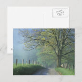 NA，アメリカ，テネシー，カデス入り江，素晴らし Smoky ポストカード (正面/裏面)