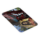 NA，アメリカ，ニューメキシコ，サンタフェ。 マグネット (右側)