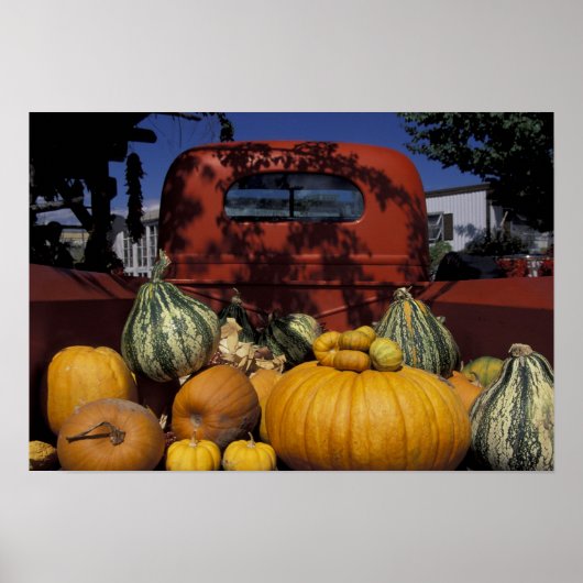 NA,アメリカ,ニューメキシコ,タオス。チリ立ち。 ポスター (正面)