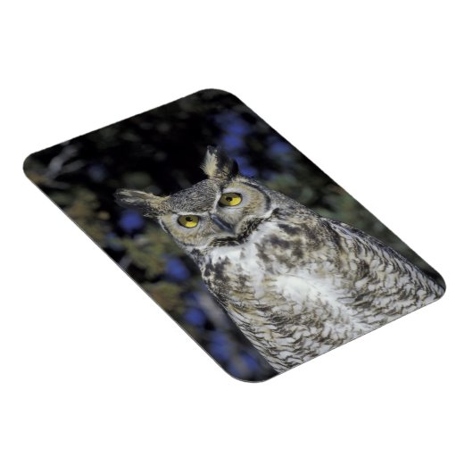 NA,アメリカ,ニューメキシコ,ワイルドライフウェスト自然パーク マグネット (右側)