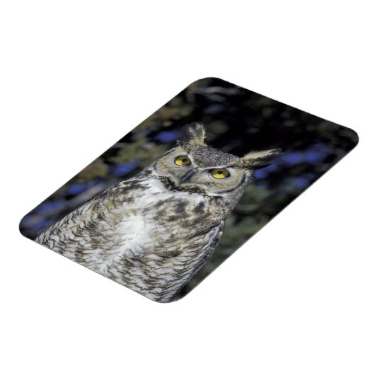 NA,アメリカ,ニューメキシコ,ワイルドライフウェスト自然パーク マグネット (左側)