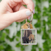 NA，アメリカ，ワイオミング，イエローストーン国立公園。 キーホルダー (手)