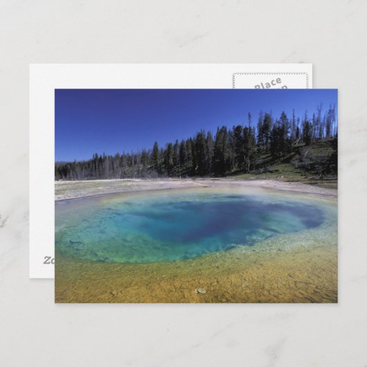 NA,アメリカ,ワイオミング,イエローストーン国立公園。2 ポストカード (正面/裏面)