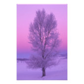 NA,アメリカ,ワイオミング,イエローストーンNP,風景 フォトプリント (正面)