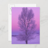 NA,アメリカ,ワイオミング,イエローストーンNP,風景 ポストカード (正面/裏面)