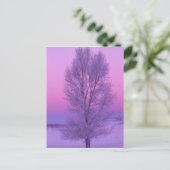 NA,アメリカ,ワイオミング,イエローストーンNP,風景 ポストカード (スタンド正面)