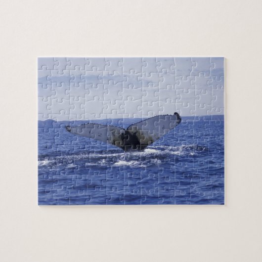 NA、カナダ、ニューファンドランド、トリニティ・ベイ。ハンプバック ジグソーパズル (横)