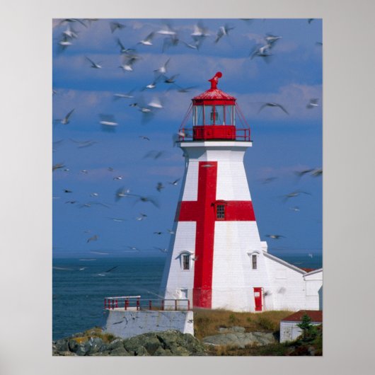 NA、カナダ、ニューブルンスウィック、カンポベロ島。8 ポスター (正面)