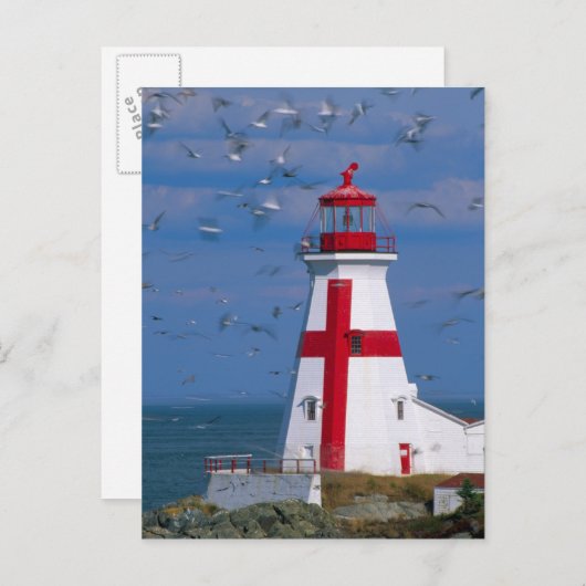 NA、カナダ、ニューブルンスウィック、カンポベロ島。8 ポストカード (正面/裏面)