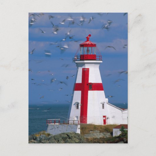 NA、カナダ、ニューブルンスウィック、カンポベロ島。8 ポストカード (正面)