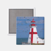 NA、カナダ、ニューブルンスウィック、カンポベロ島。8 マグネット (正面/裏面)