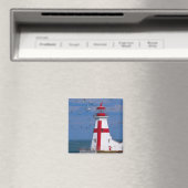 NA、カナダ、ニューブルンスウィック、カンポベロ島。8 マグネット (インサイチュ (食洗機))