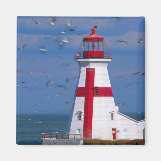 NA、カナダ、ニューブルンスウィック、カンポベロ島。8 マグネット (正面)