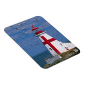 NA、カナダ、ニューブルンスウィック、カンポベロ島。8 マグネット (右側)