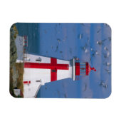 NA、カナダ、ニューブルンスウィック、カンポベロ島。8 マグネット (横)